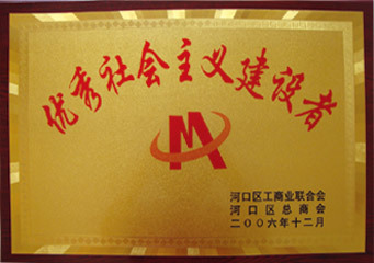 优秀社会主义建设者