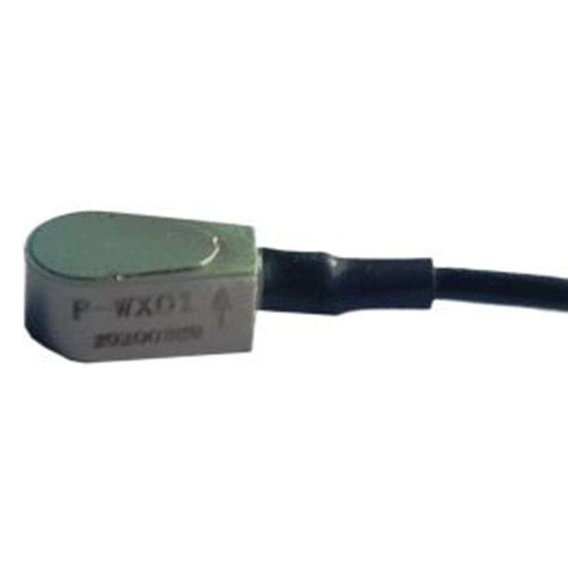 P-WX01