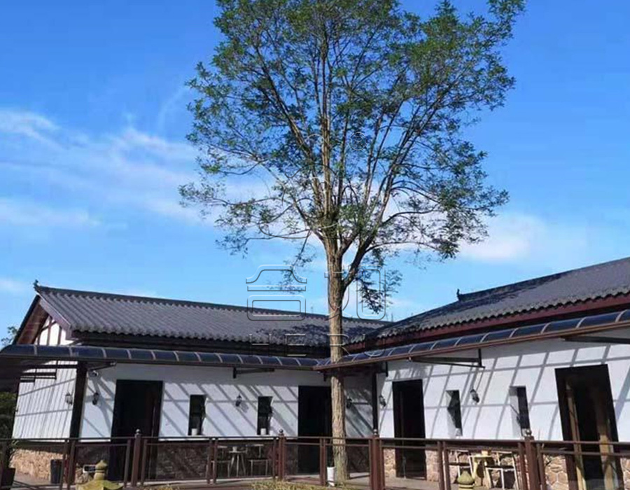 縴ϲ