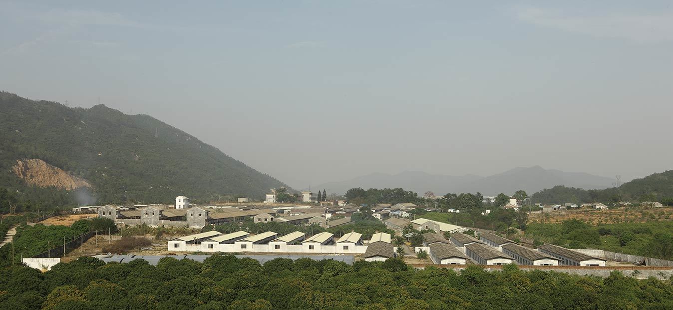 親近基地1