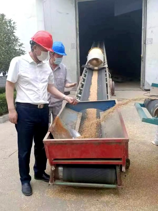 吳高波同志檢查夏糧收購(gòu)工作并看望慰問一線職工