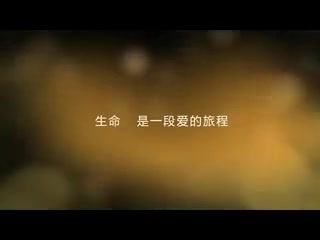 shipin.mp4