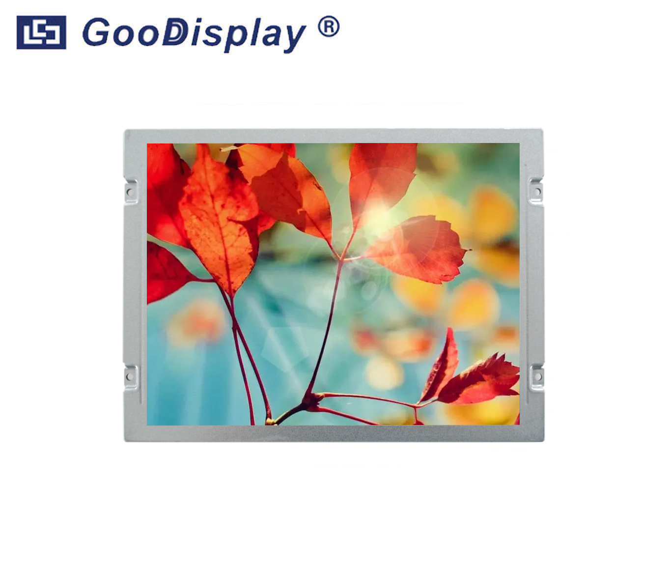 Color LCD Display