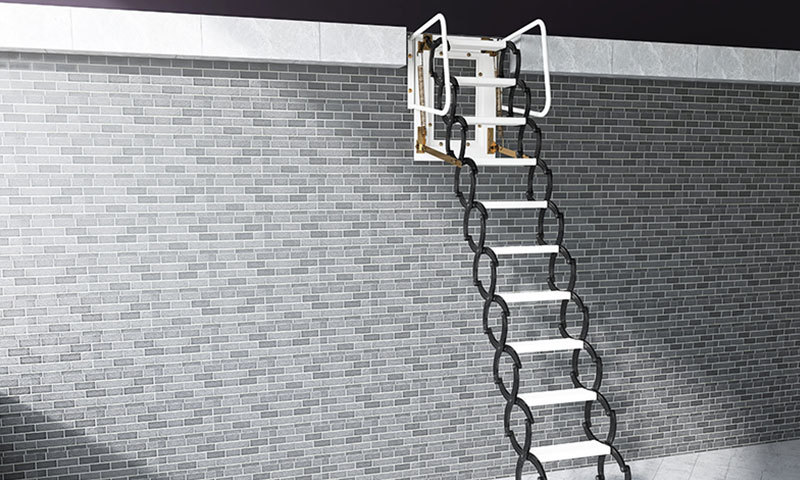 Wall Mounted Ladder