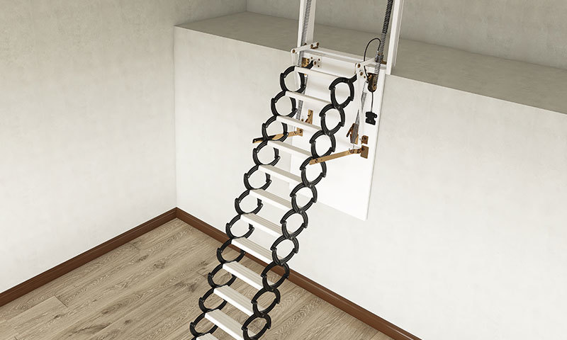 Vertical Access Ladder