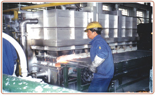 Partial heating automatic line for plate belt forging 