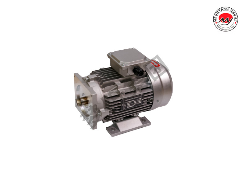 Tire raking machine motor