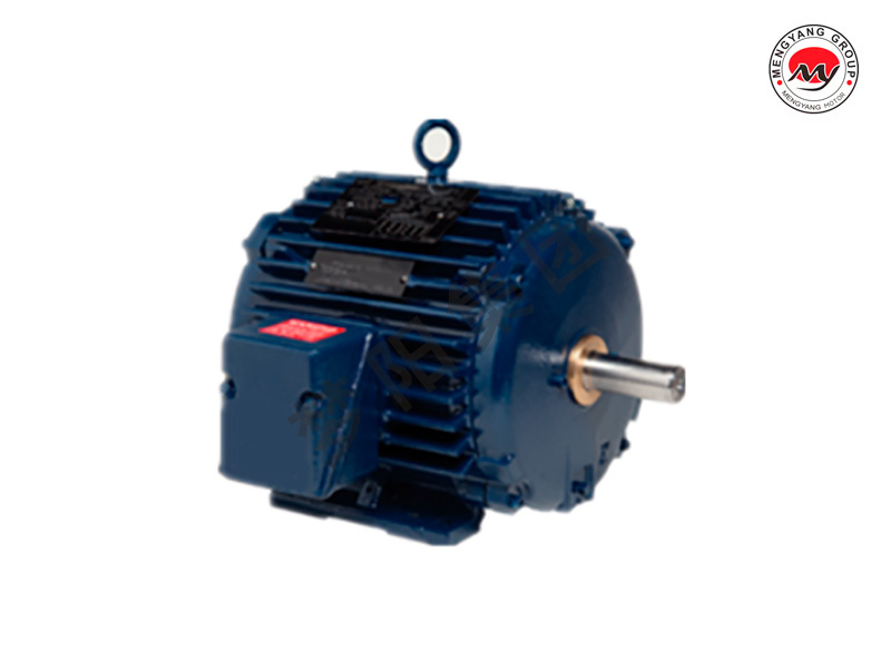 Three phase cast iron cooling tower motor