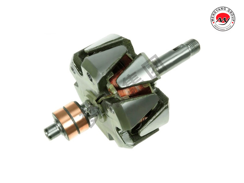 Generator rotor