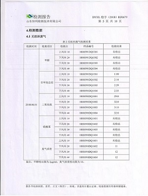 检测报告