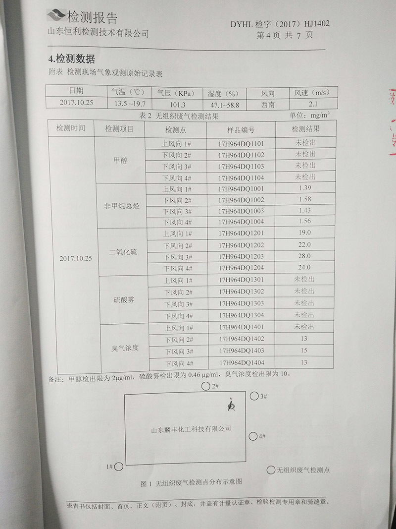 检测报告