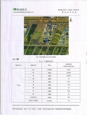 检测报告