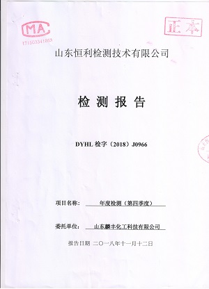 检测报告