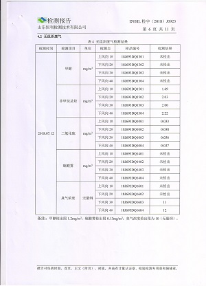 检测报告