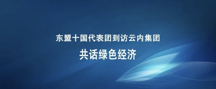 东盟十国代表团到访云内集团：共话绿色经济