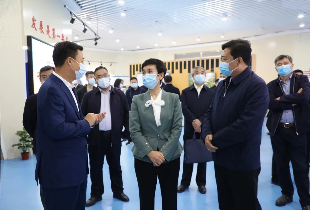 Gao Yunxiao, vice governor of Hebei Province, visited Shijiazhuang international dry port for investigation