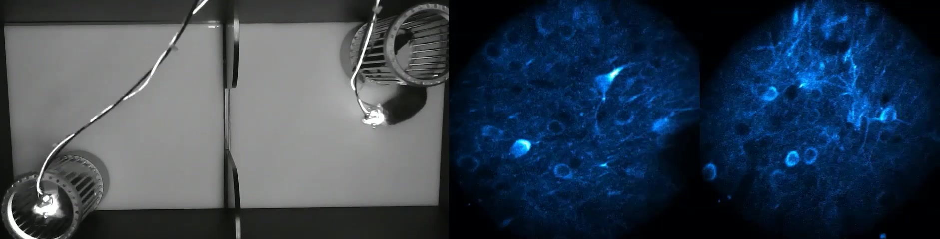 图片替换视频.mp4 图片替换视频.mp4