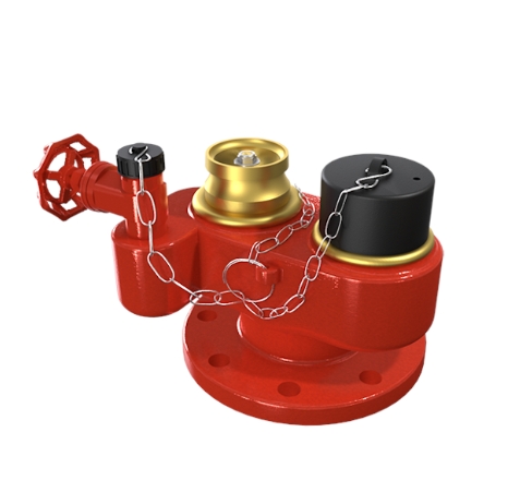 2 Way Breeching Inlet Fire Hydrant