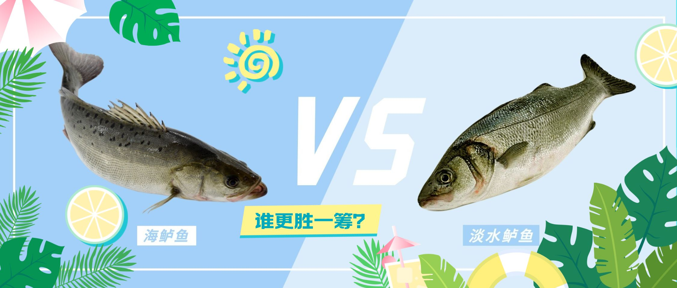 海鲈鱼VS淡水鲈鱼，到底谁更胜一筹？