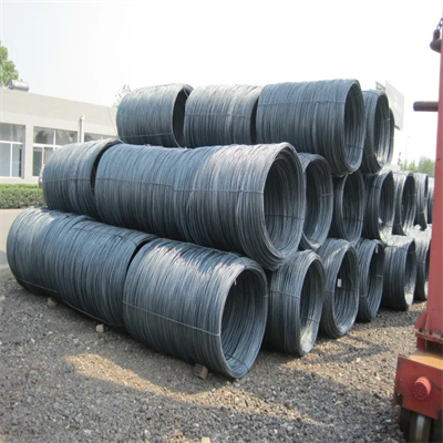 Spiral Snail  Rebar