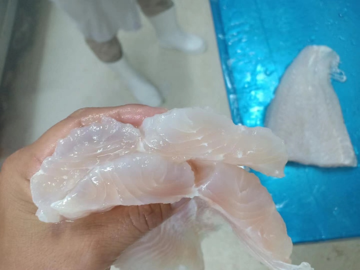 FROZEN PANGASIUS FILLETS