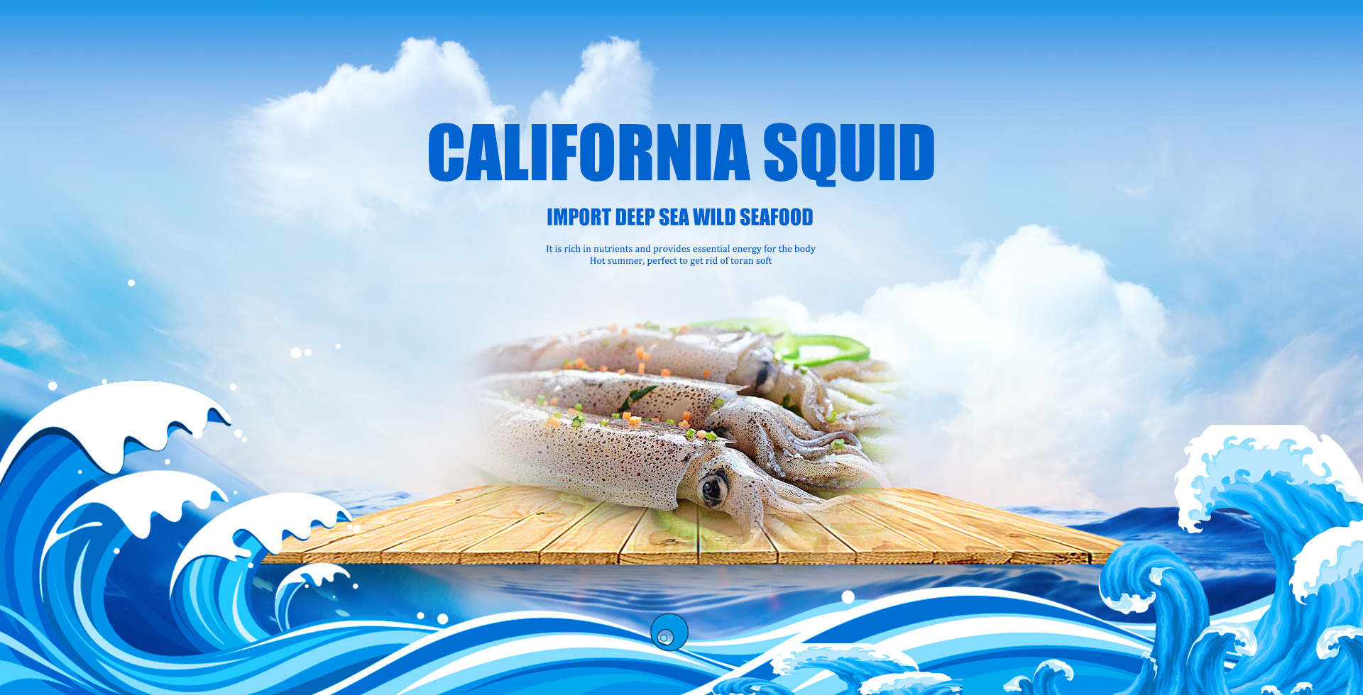 California squid