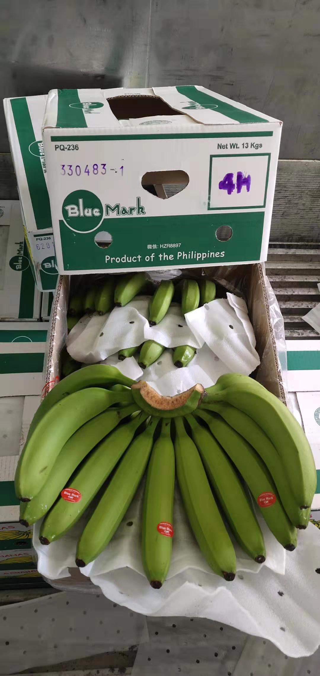 The Philippines