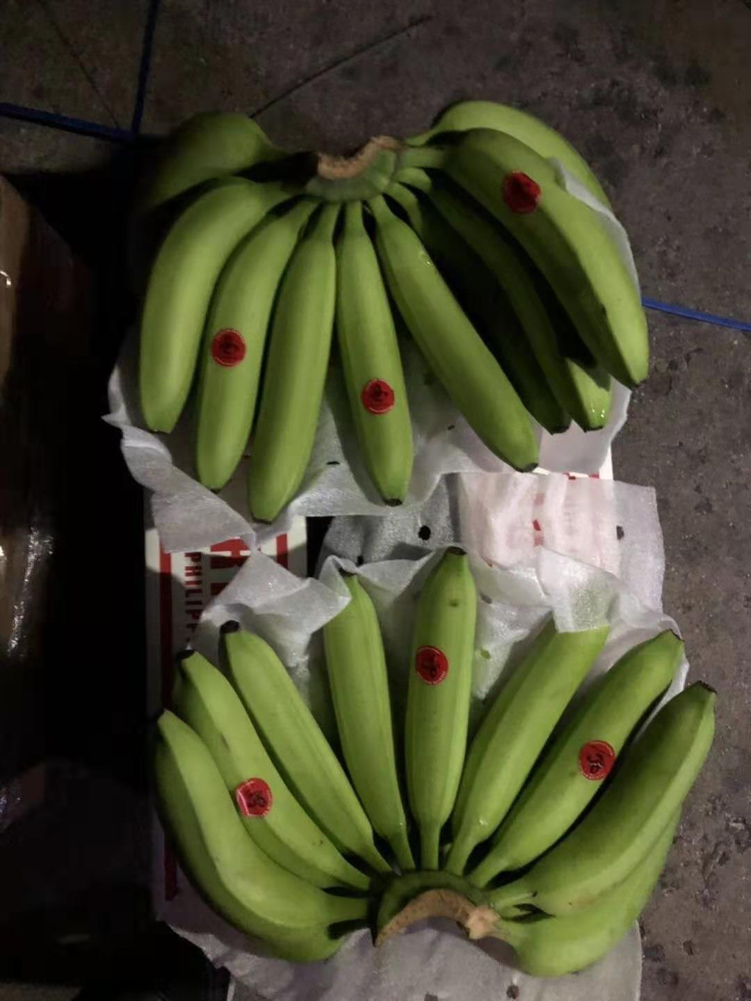 菲律宾