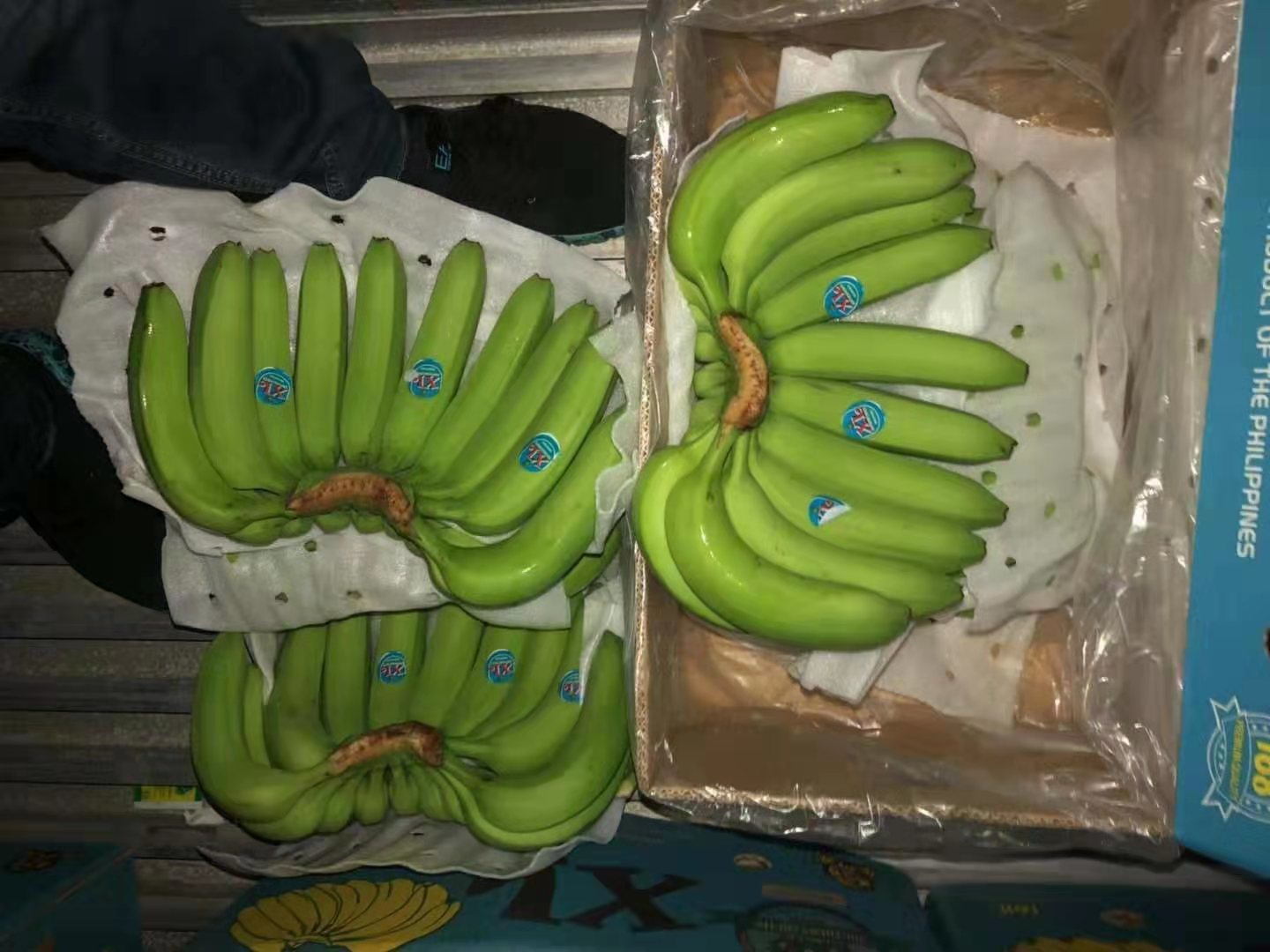 菲律宾