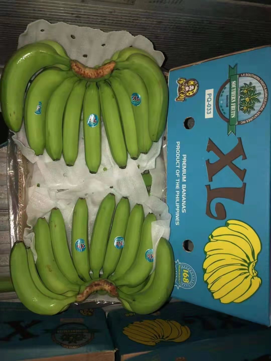 菲律宾