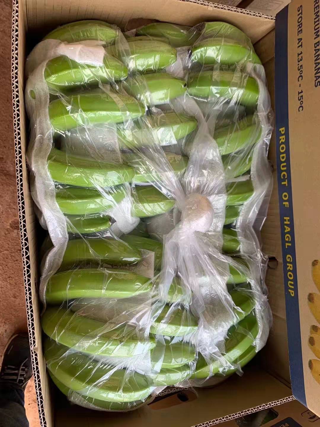柬埔寨