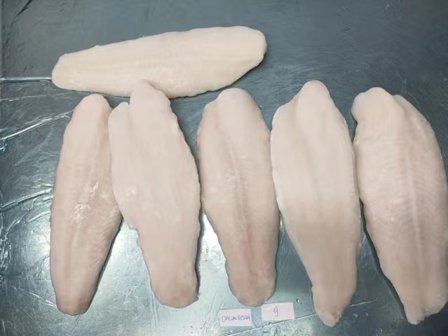 越南巴沙鱼