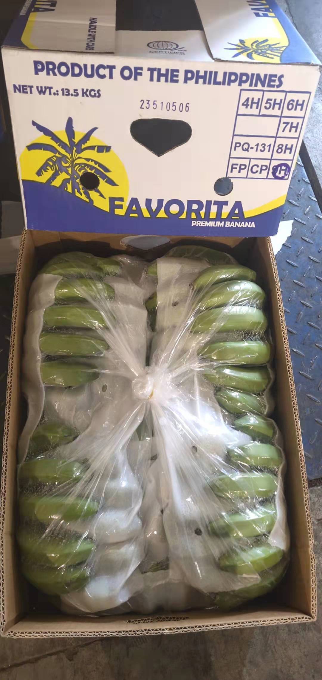 菲律宾