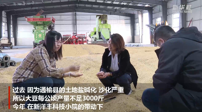 吉林通榆：高校科技助农增收