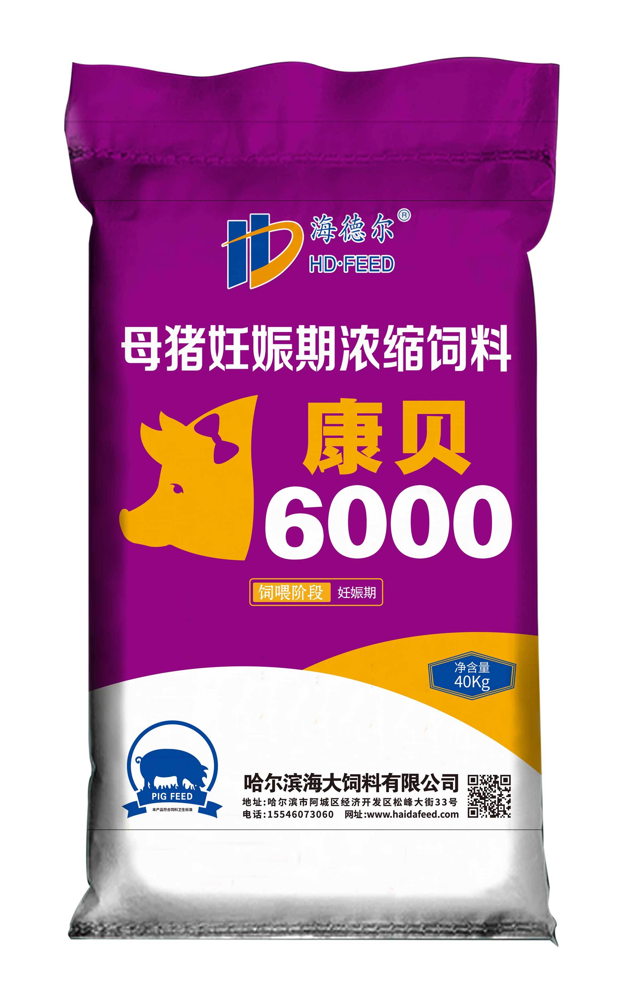 康貝6000