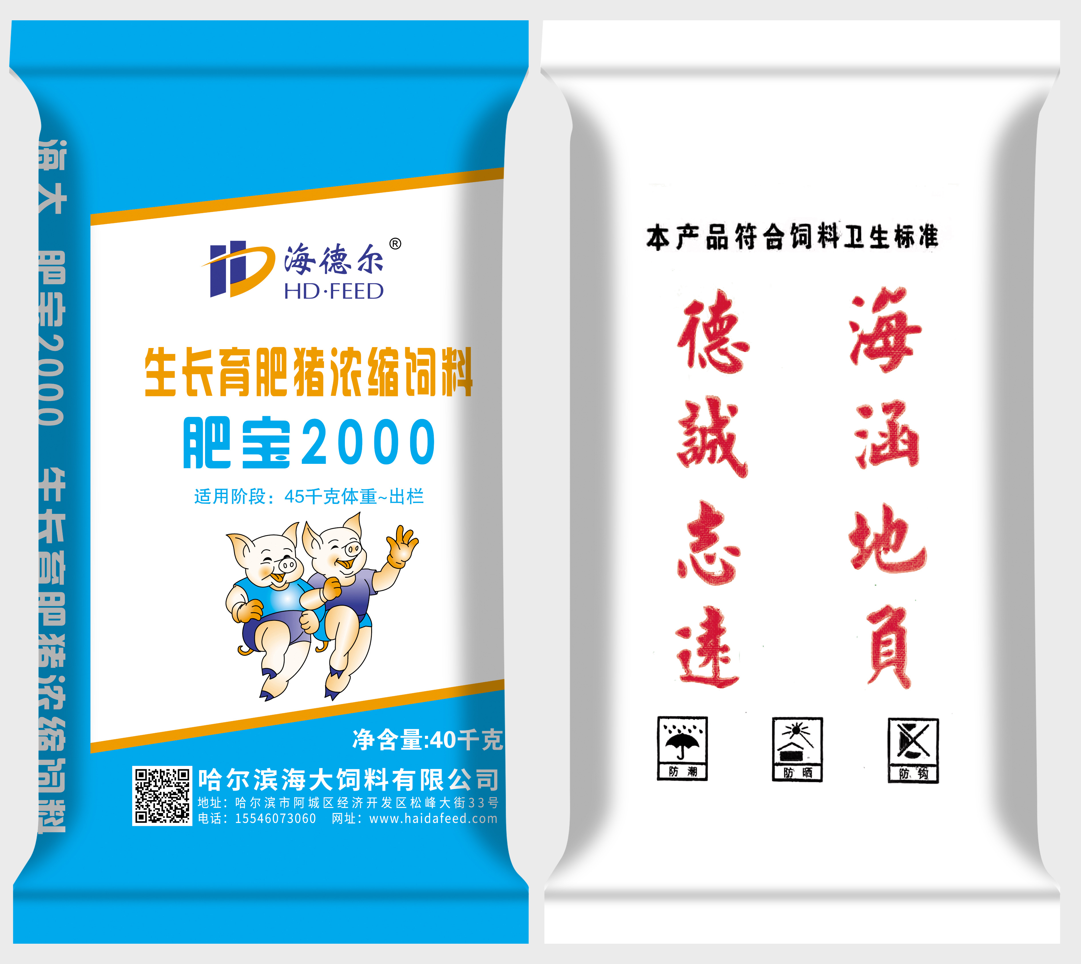 肥寶2000