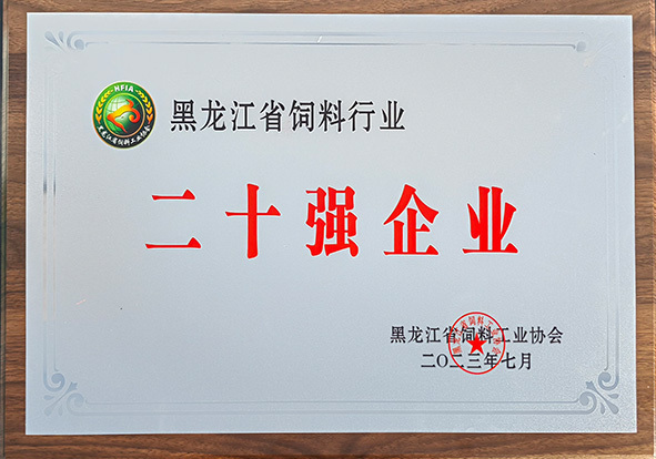 二十強(qiáng)企業(yè)