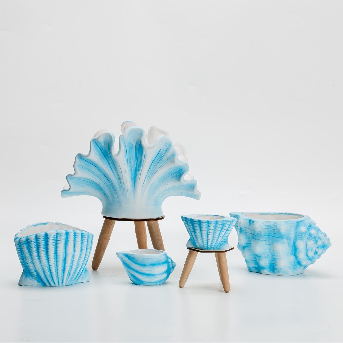Ocean Shell Series