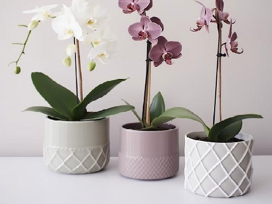 Flower pot