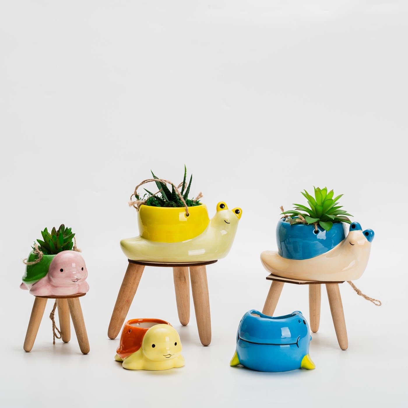 Zoo Series