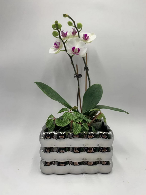 Flower pot