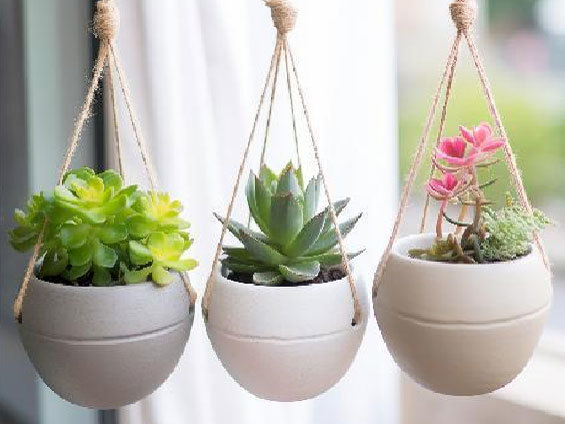 Flower pot