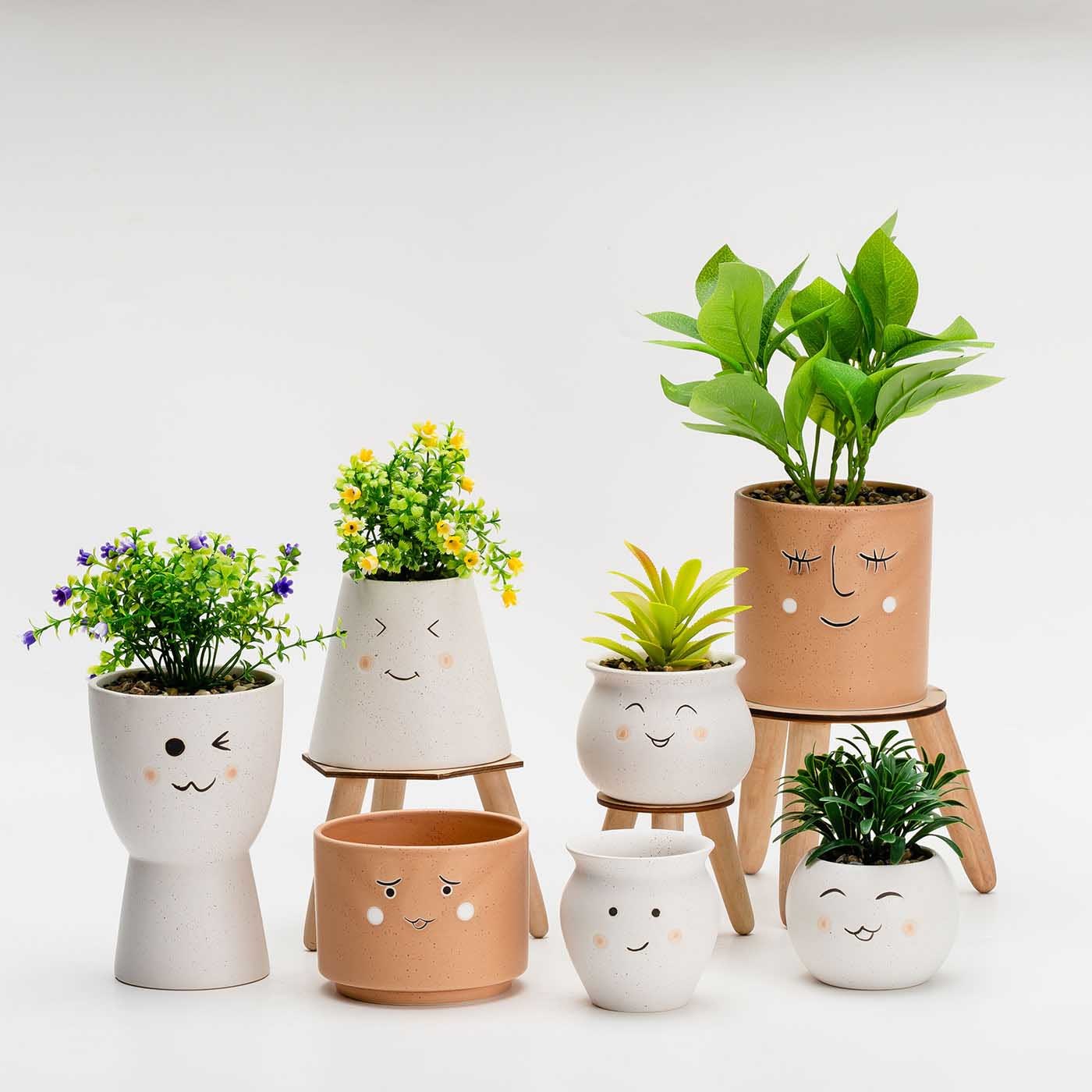 Succulent Pots