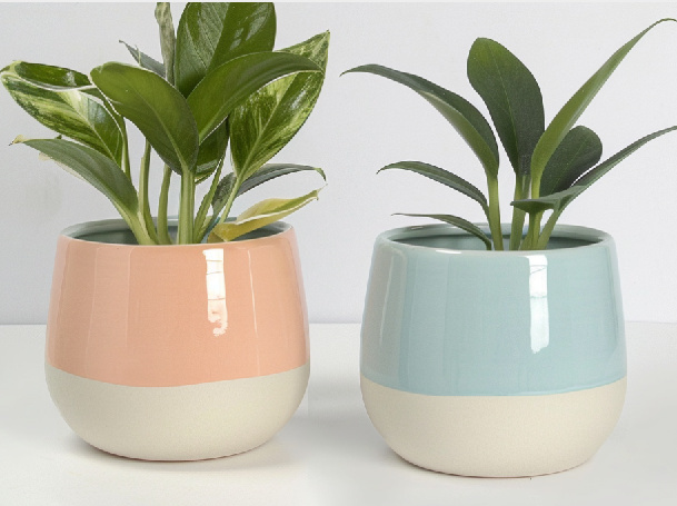 Flower pot
