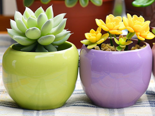 Flower pot