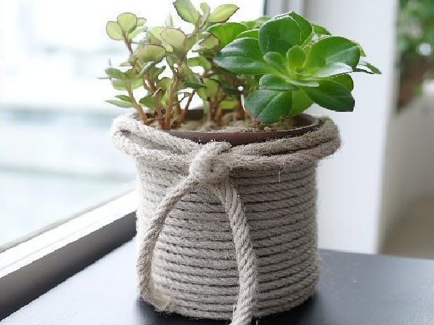 Flower pot