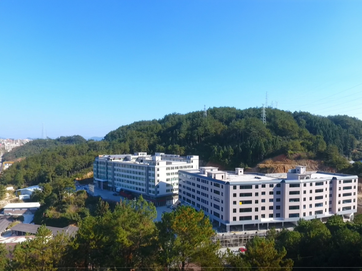 全景
