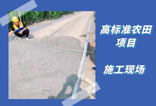 工作日常，高標(biāo)準(zhǔn)農(nóng)田項(xiàng)目