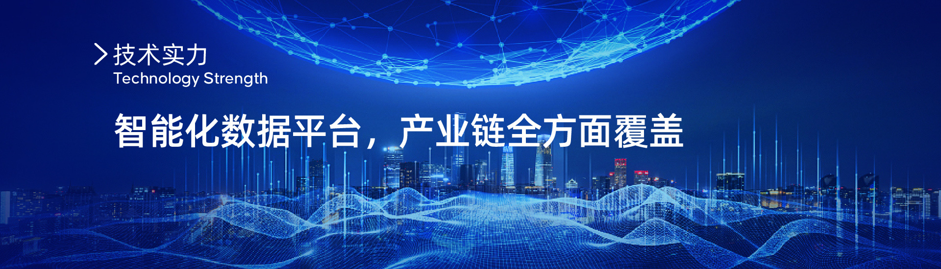 技術(shù)實力
