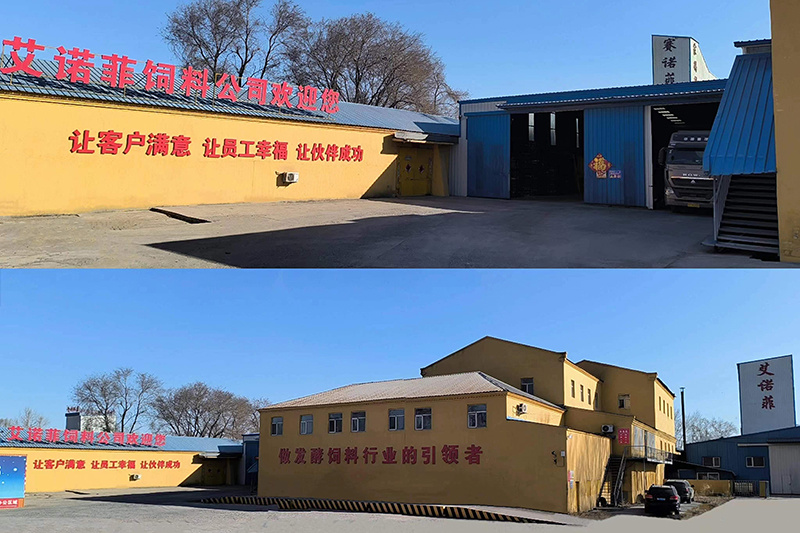 廠區(qū)廠貌